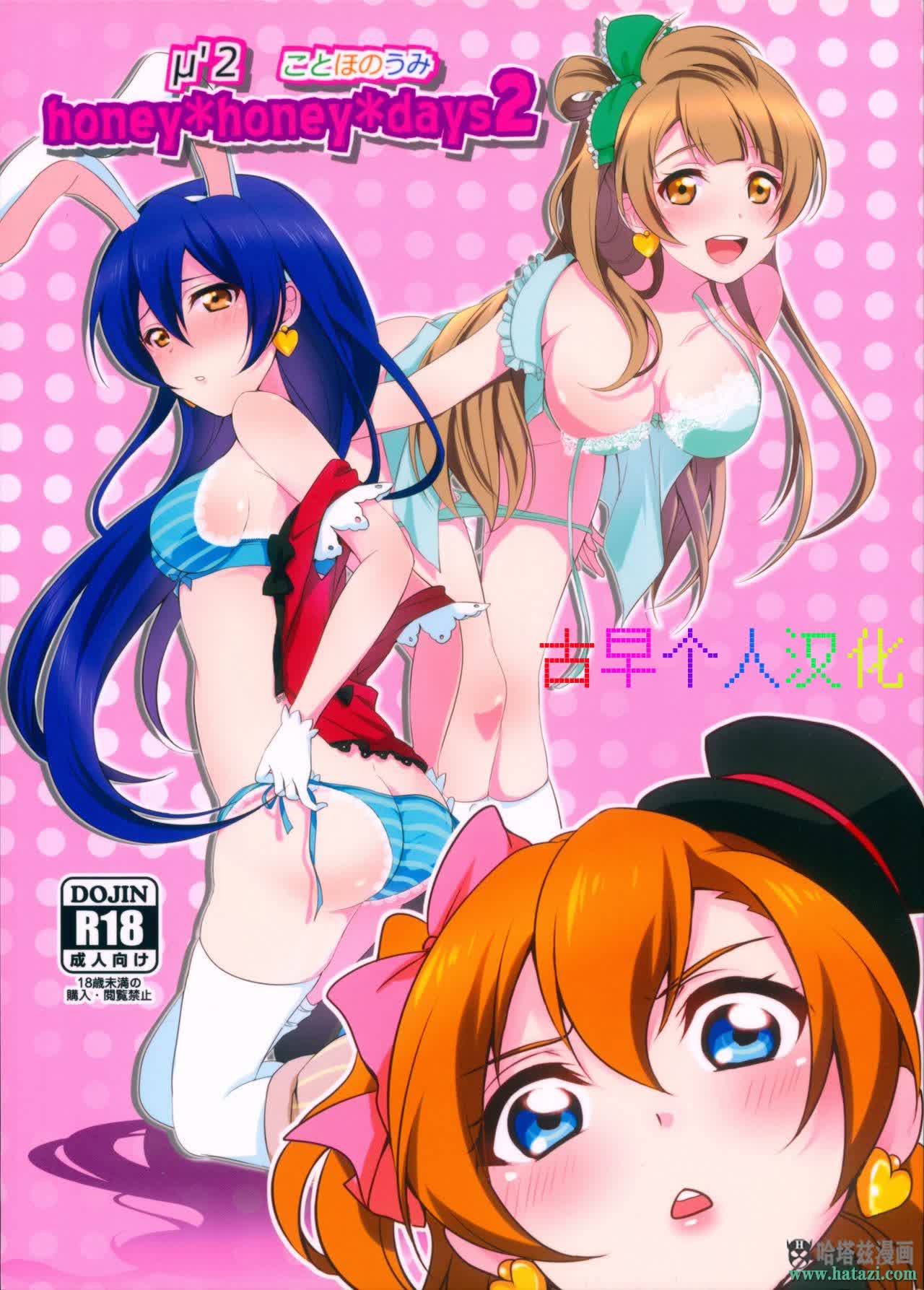 [中文A漫]末日H漫 (C90) [梟の郵便屋さん (上戸ルリ)] honey＊honey＊days2 (ラブライブ!) [中国翻訳]