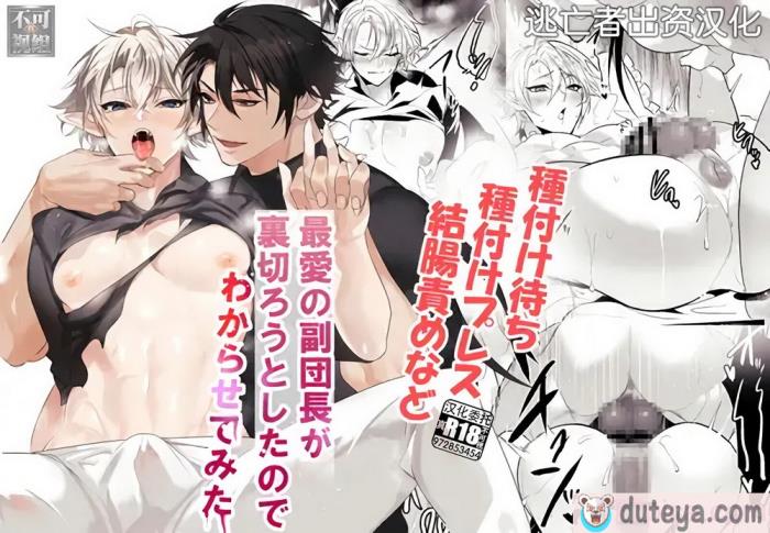 〈[なついろ乙女] 最愛の副団長が裏切ろうとしたのでわからせてみた [逃亡者×真不可视汉化组][47P]〉